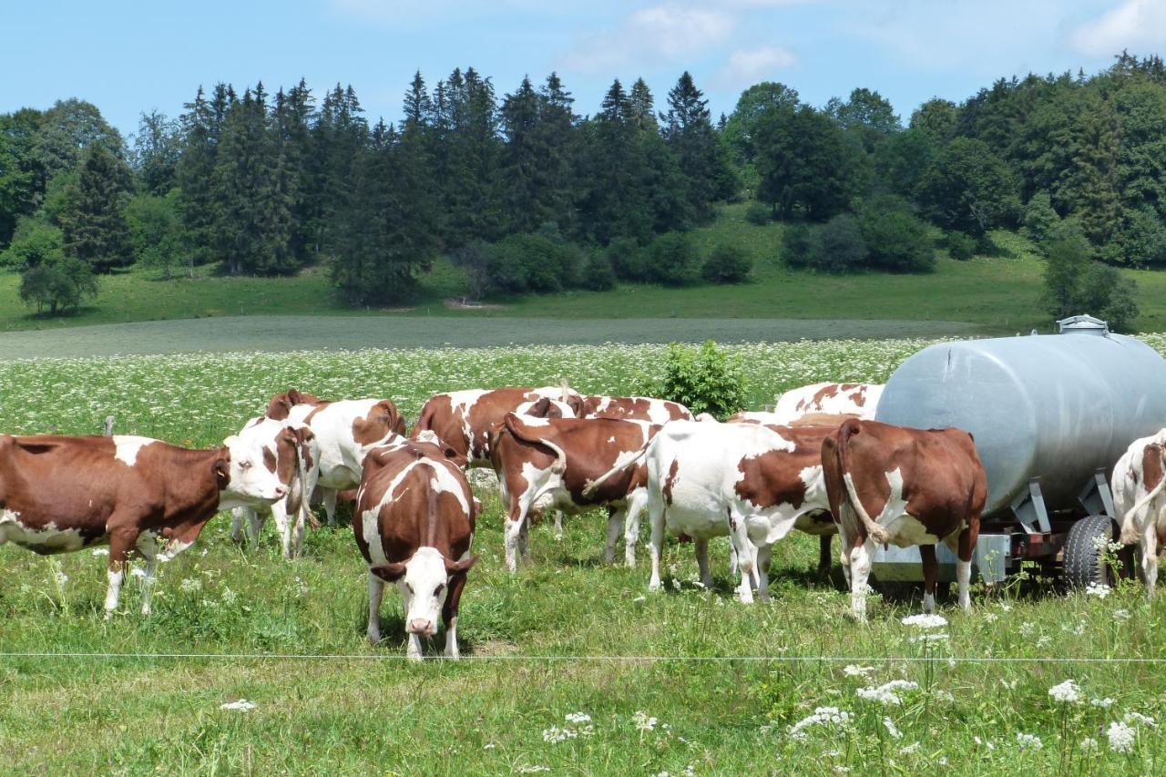 La Grange De Haute-Joux Les Fourgs Eksteriør billede